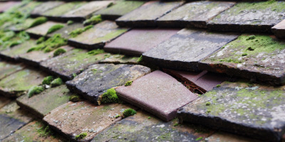Henllan Amgoed roof repair costs